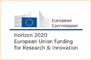 European Commission